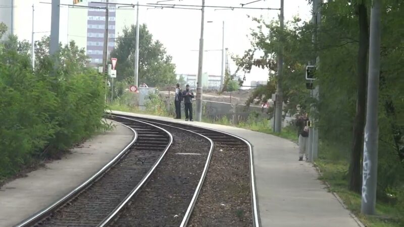 Trojský tramvajový most 6. 10. 2013 – 5